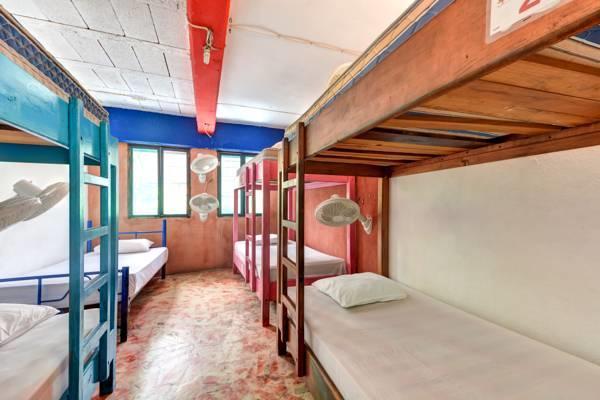 Hostel Playa Playa del Carmen Room photo